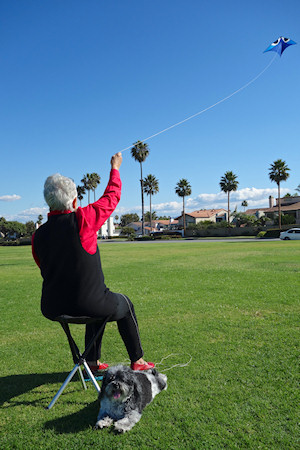 Walkstool kite